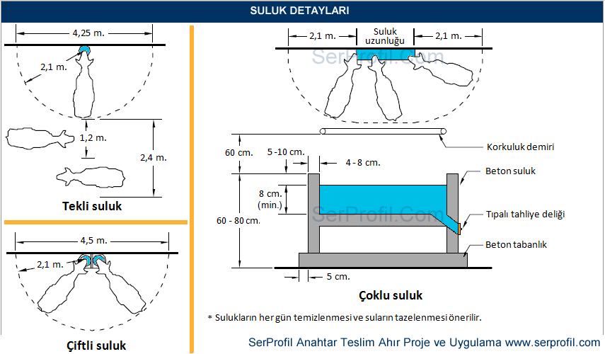 Suluk Detayı