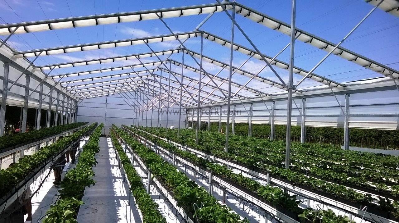 Sera Demiri Kg Fiyatı, Hazır Sera Projeleri Fiyatları 2026