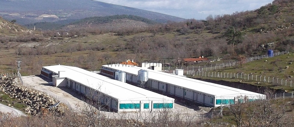 Çadır Kümes Satışı 2026, Çadır Kümes Yapımı, Çadır Kümes Fiyatları