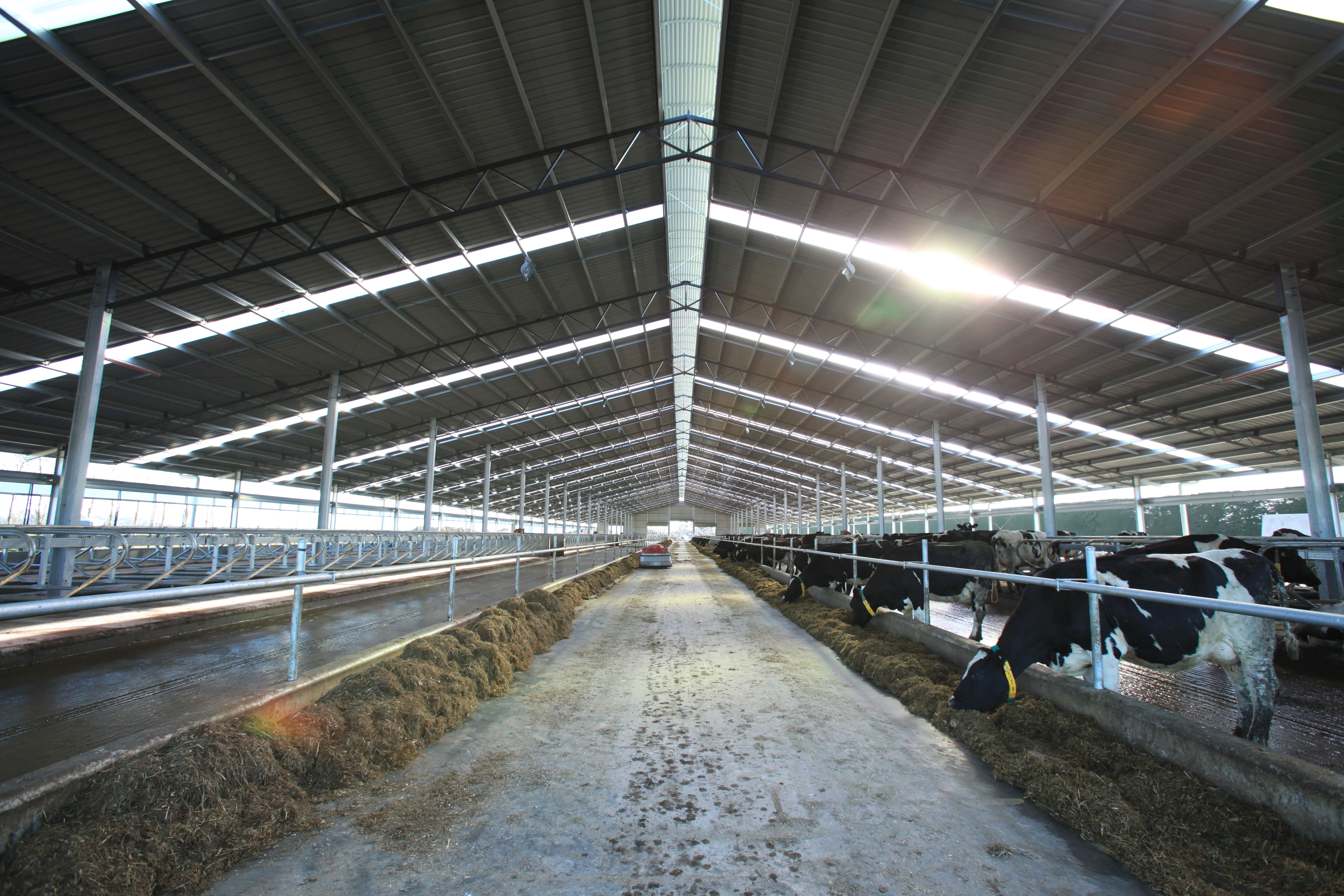 Prefabrik ÇELİK Ahırlar İmalatçısından Toptan Üretim ve Satış Fiyatları