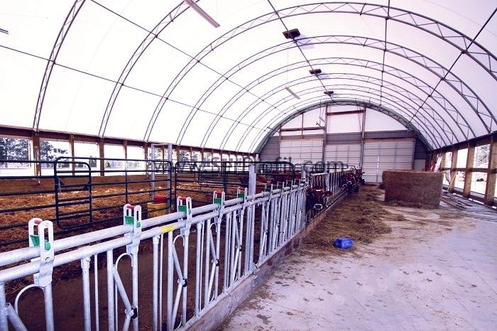 1000 Büyükbaş Hayvan Çiftliği Maliyeti Projeleri Fiyatları 2026