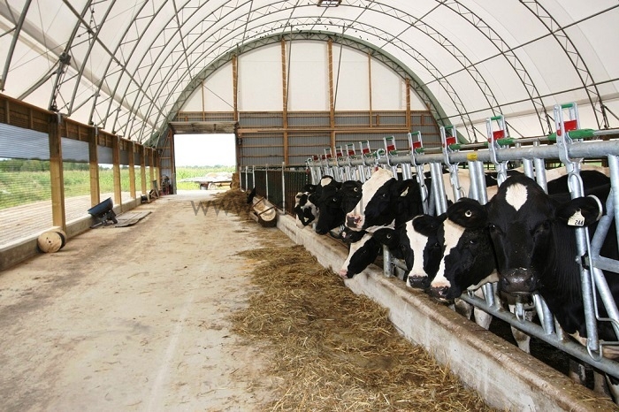 100 Büyükbaşlık Çiftlik Örnekleri Projeleri Fiyatları 2026