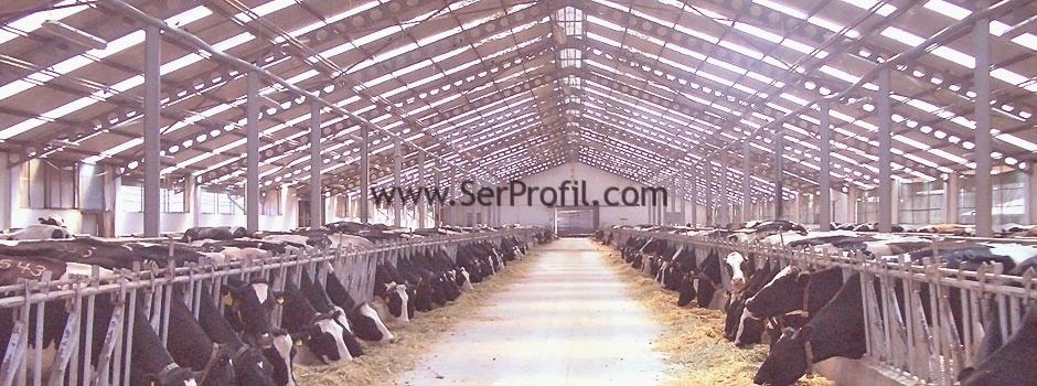 Basit Modern Büyükbaş Ahır Planları Örnek Projeleri Maliyetleri Fiyatları