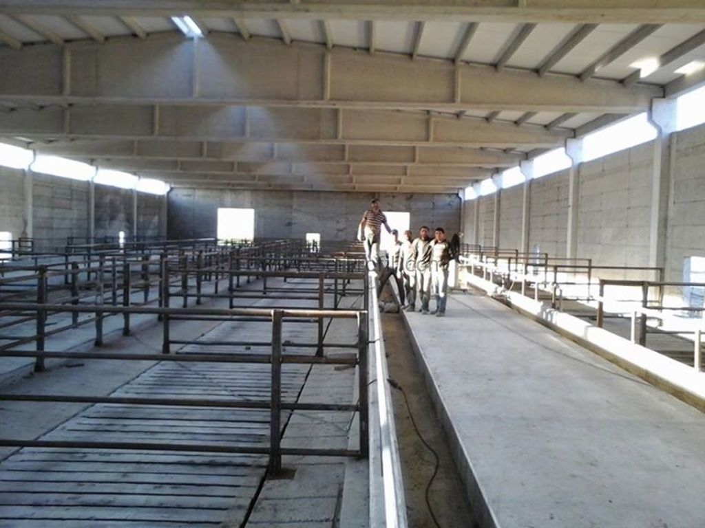 Büyükbaş Çiftlik Projeleri Hazırlıyor Uygun Fiyata Anahtar Teslim Yapıyoruz