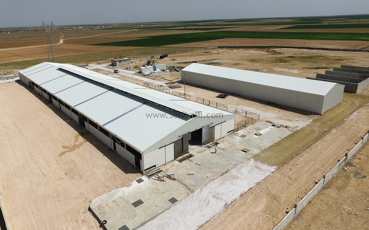 Standart Bağlı Serbest Duraklı Ahır Ölçüleri Planları Projeleri Fiyatları 2026
