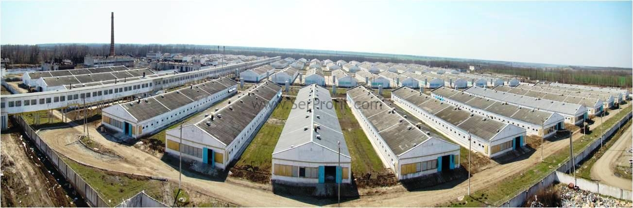 100 Büyükbaş Hayvan İçin Ahır Planları Projeleri Fiyatları