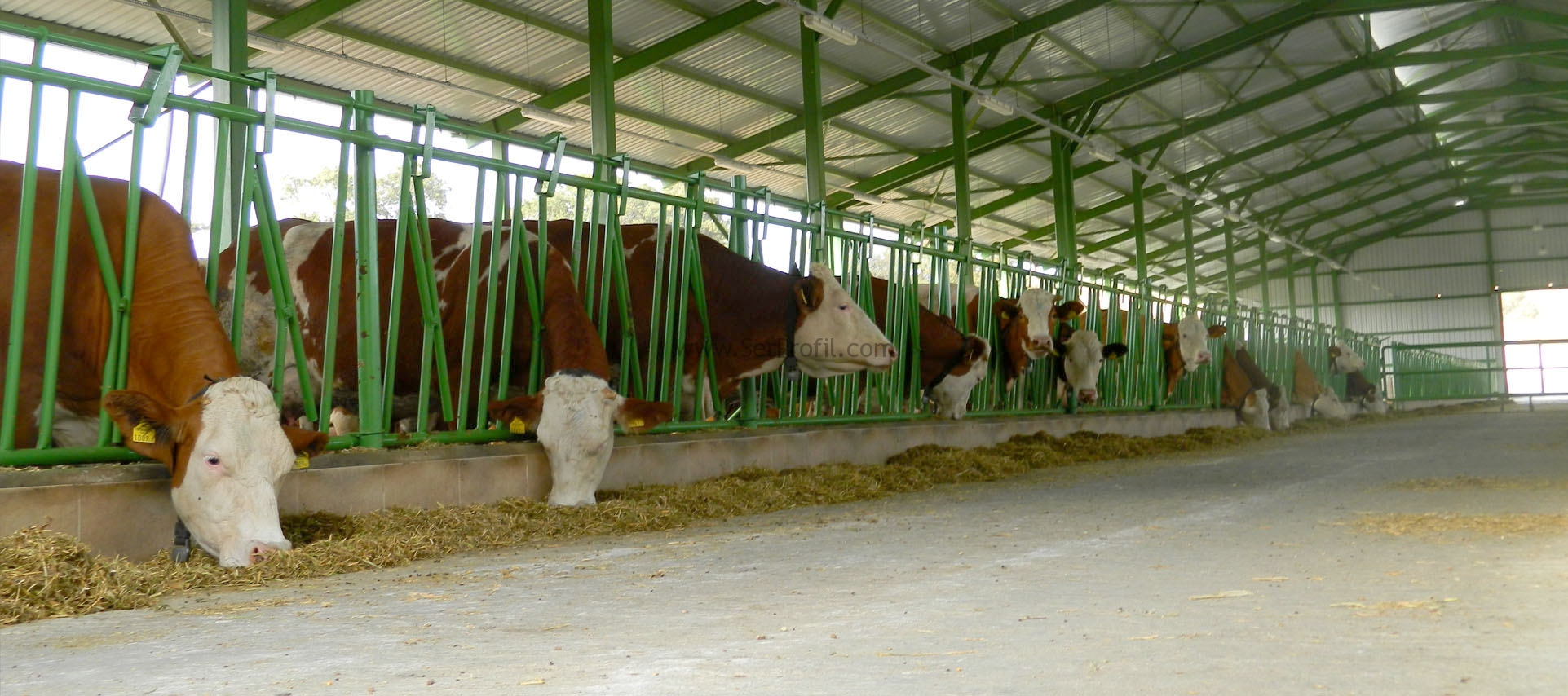 Ahır Kurulum Maliyetleri Proje Masrafları Hibe Oranları