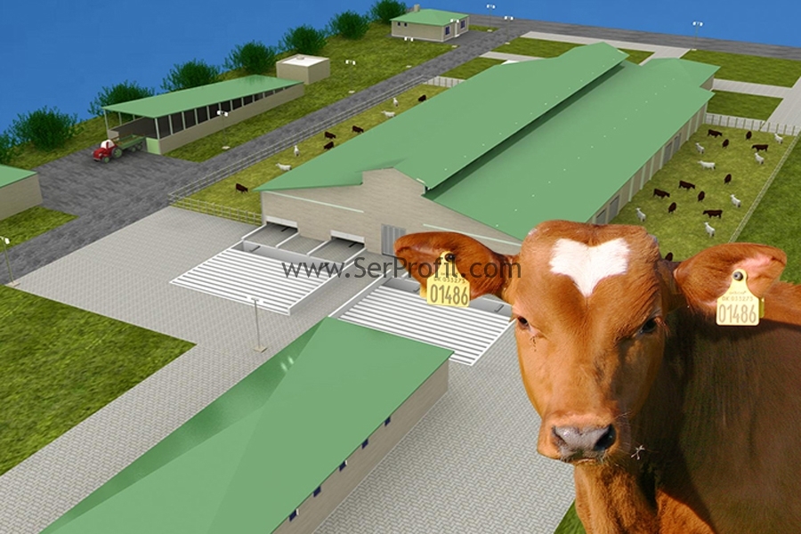 Prefabrik Büyükbaş Ahır Projeleri ve Yapım Metrekare Fiyatları