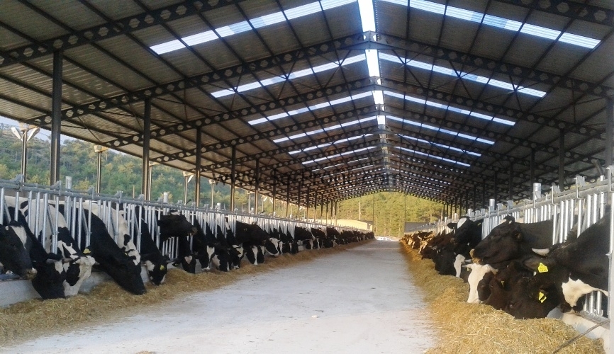 Prefabrik Tavuk Kümesi Fiyatları 2026