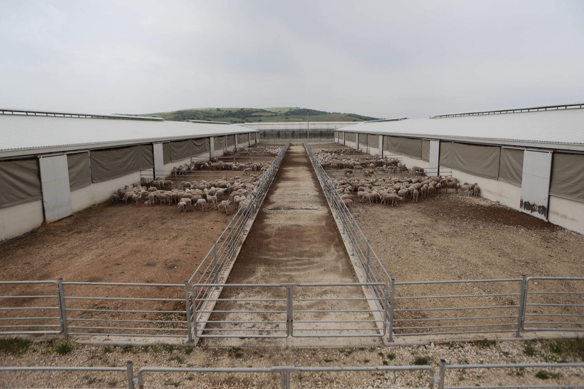 Açık Besi Ahır Çiftlik Projeleri Yapım Firması Fiyatları