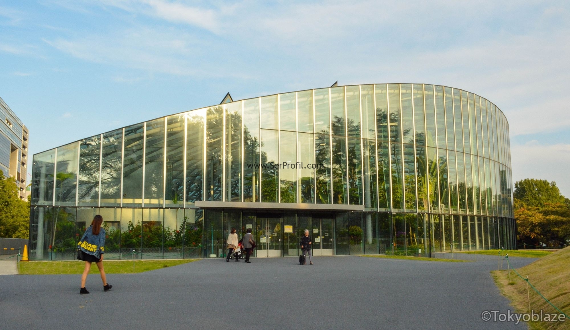 Modern Sera Sistemleri Anahtar Teslim Proje ve Kurulum Fiyatları