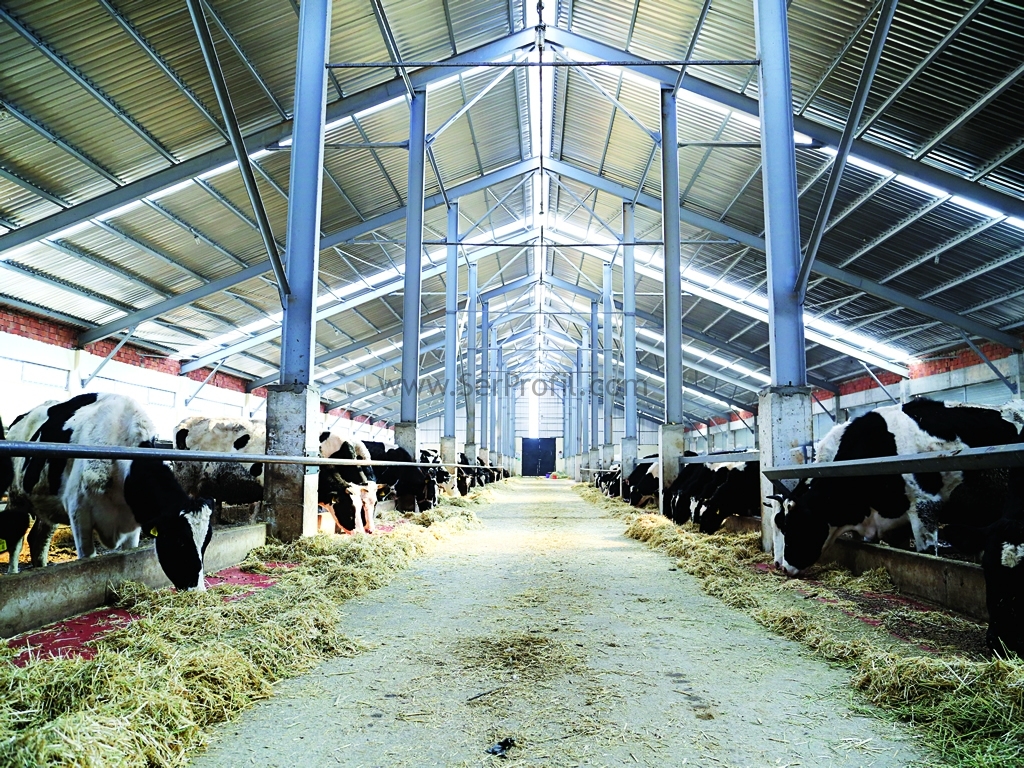Anahtar Teslim Kredili Destekli Hibeli Komple Çiftlik, Anahtar Teslim Ahır Fiyatları