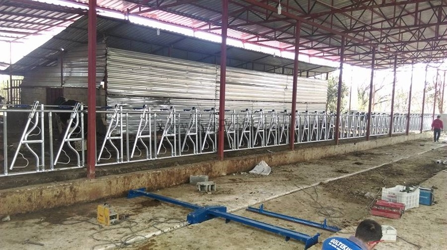 Ahır Projeleri Fiyatları, Prefabrik ve Çelik 50 Başlık Ahır Maliyeti 2026