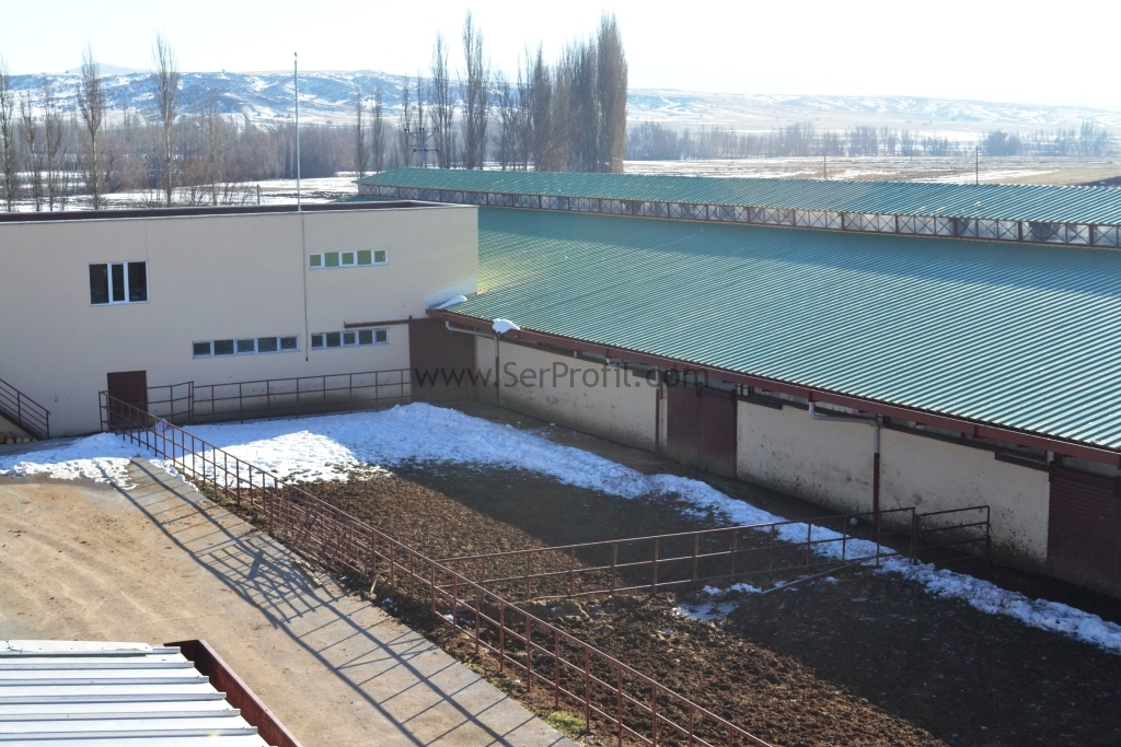 Prefabrik ÇELİK Kümes Projeleri ve Anahtar Teslim Fiyatları 2026