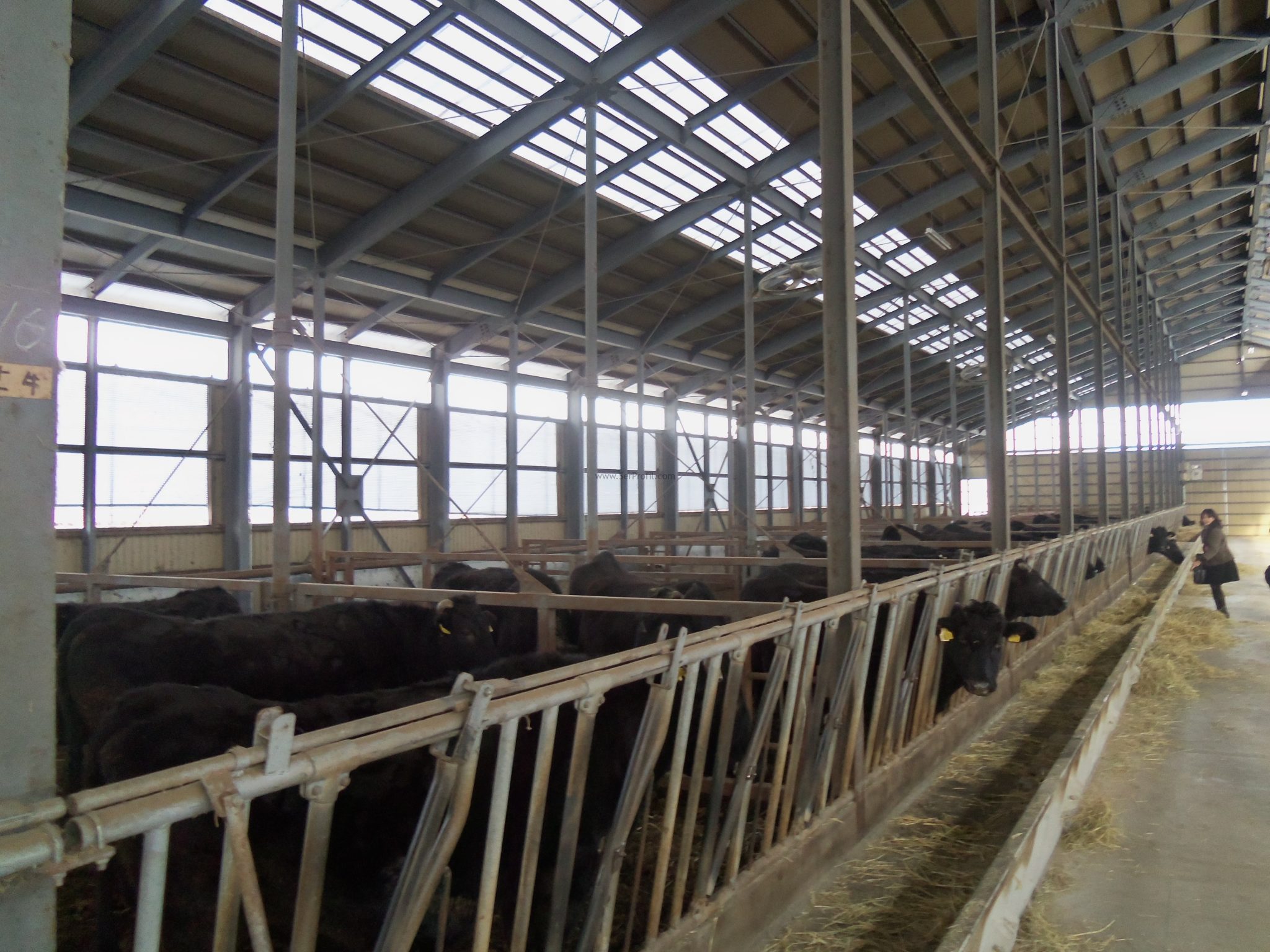 20×20m 400 m2 Besihane Projeleri ve Maliyeti