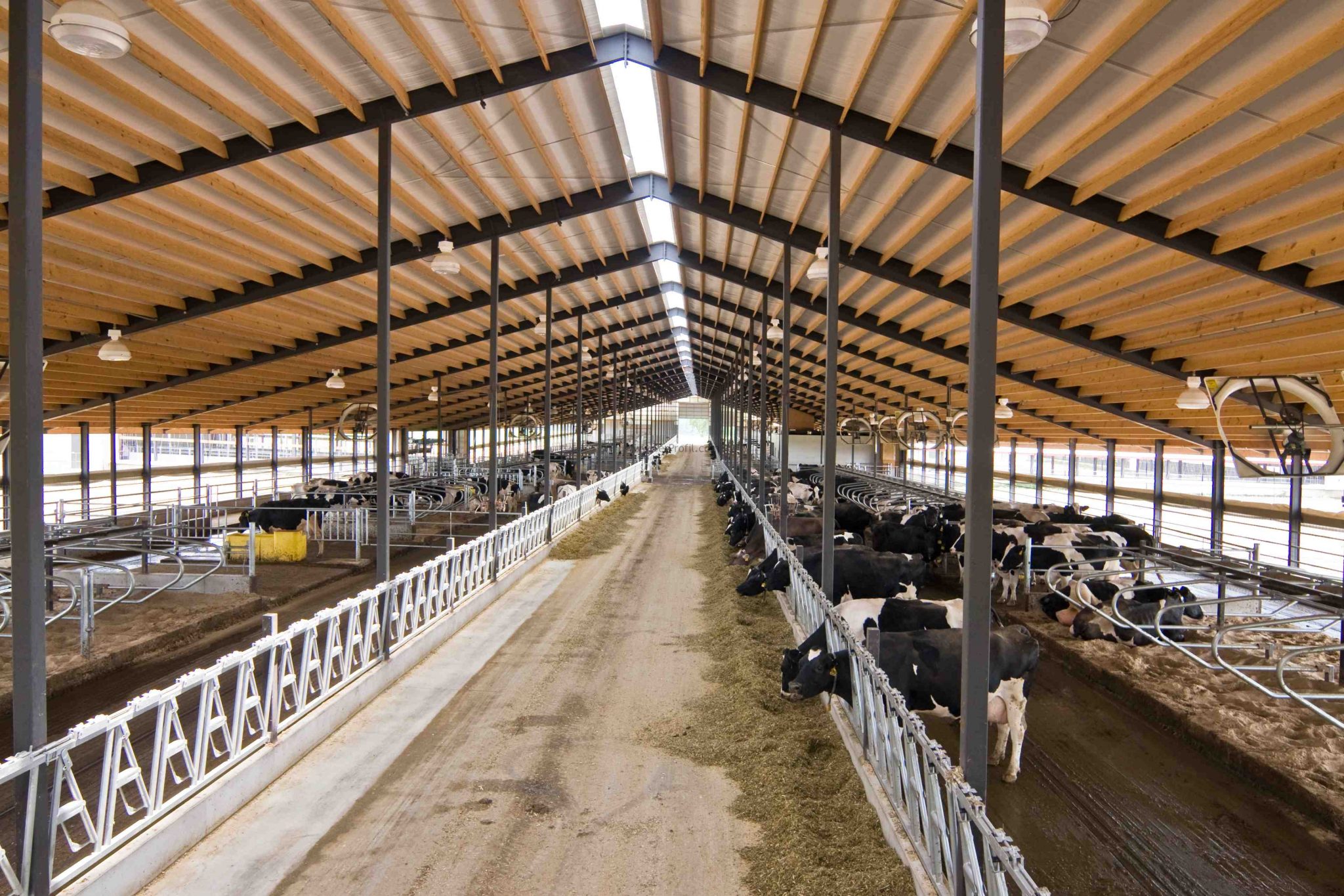 Devlet Destekli Hibeli Prefabrik Ahır Projeleri ve Komple Full Yapım Metrekare Fiyatları