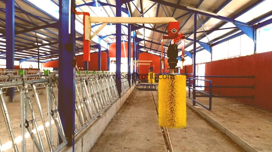 Yüzde 50 Destekli Hibeli Ahır Yapımı Fiyatları Ahır Proje İnşaat Firması