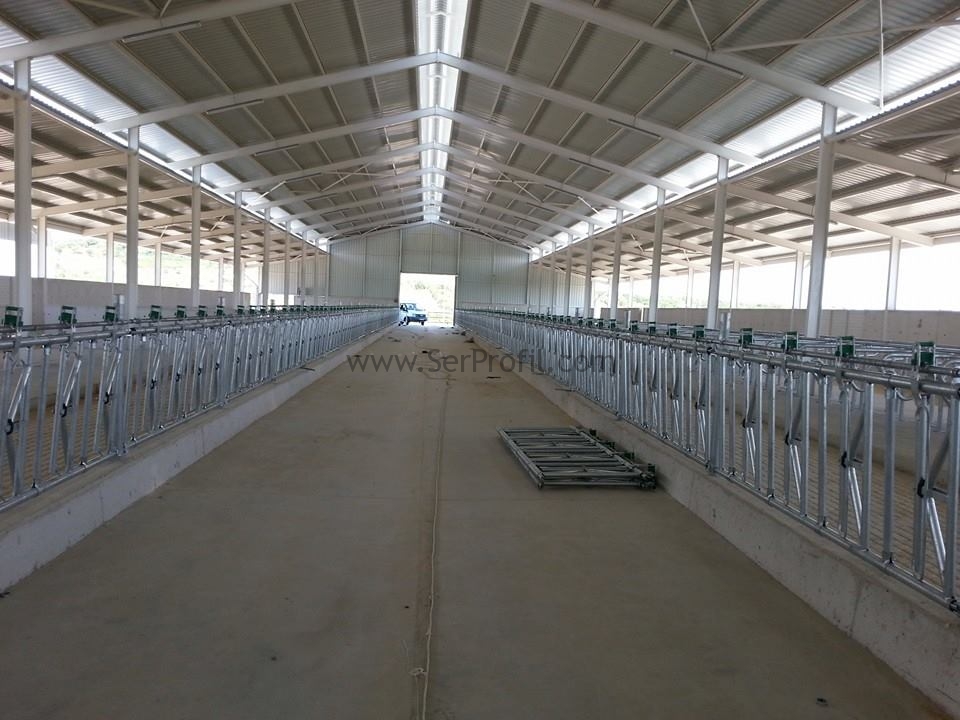 Büyükbaş Hayvan Çiftliği Projesi Maliyetleri Fiyatları 2026