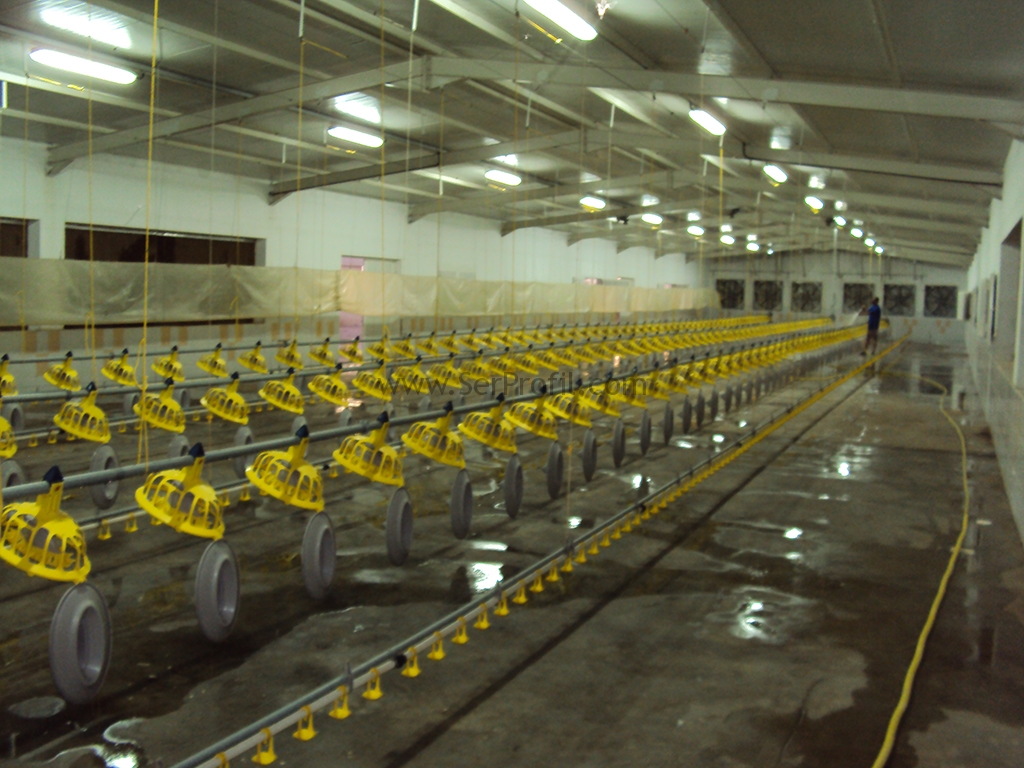 25000 (25 Bin) Adet Prefabrik ÇELİK Tavuk Çiftliği Kurulumu İnşaat Maliyeti Fiyatları
