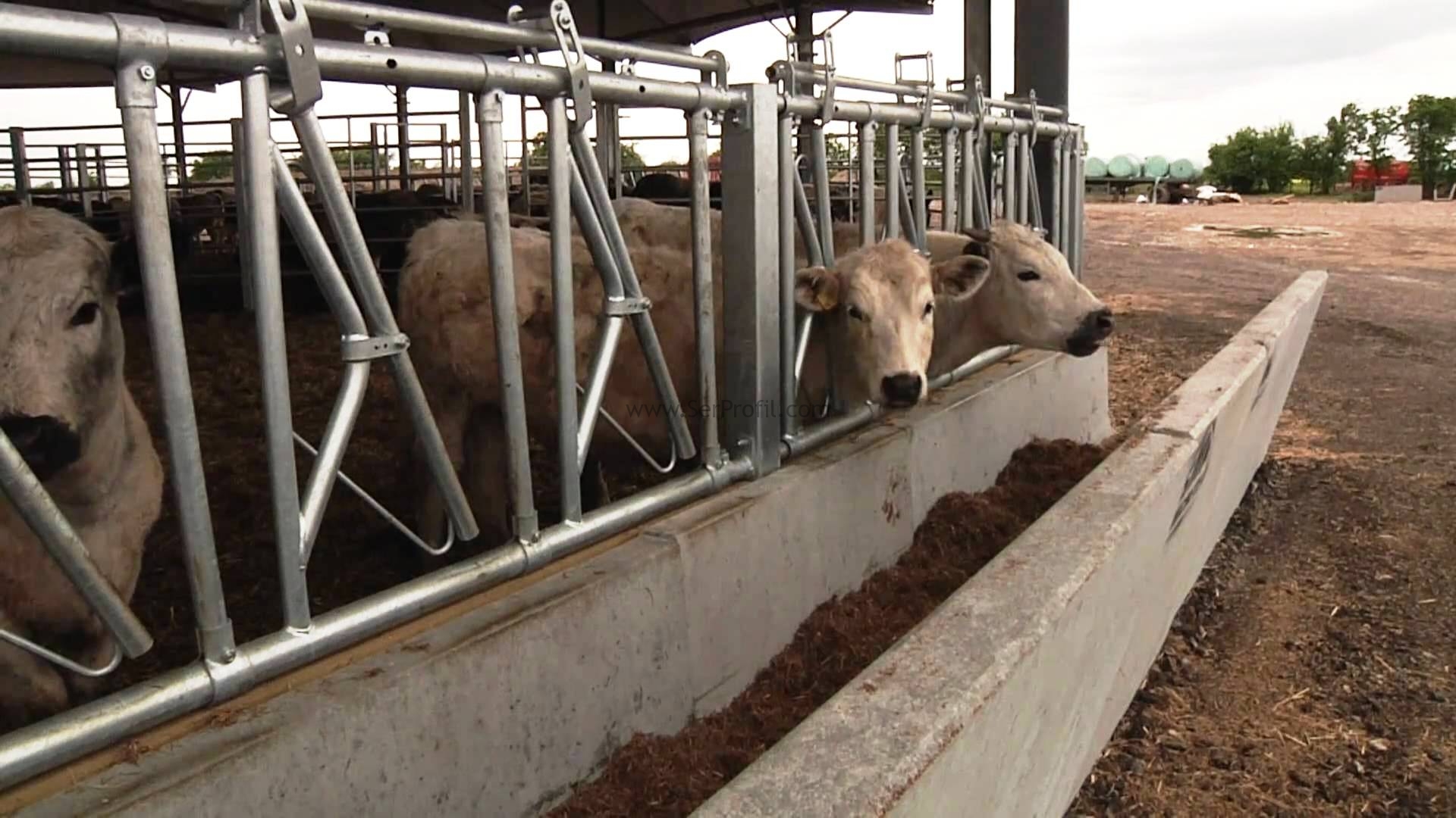 1000 Küçükbaş Keçi Çiftliği Projesi İnşaat Ekipman Maliyetleri Fiyatları 2026
