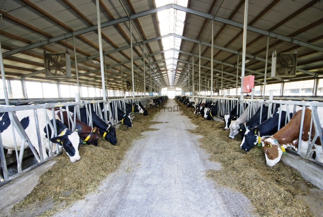 TKDK Kırsal Kalkınma Hibeli Ahır Projeleri ve Komple Yapım Fiyatları