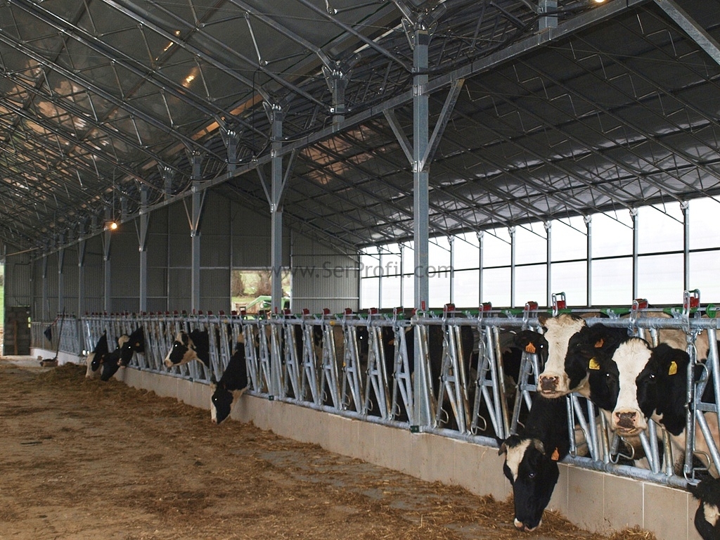 Büyük Baş Serbest Duraklı Ahır Ölçüleri Projeleri İnşaat Yapım Ekipman Fiyatları