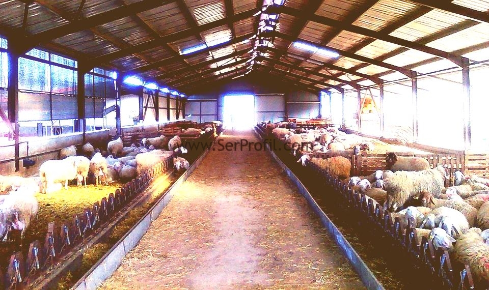 Koyun Ağılı Yapım, Koyun Ağılı Maliyetleri, Koyun Ağılı Projeleri ve İnşaatı