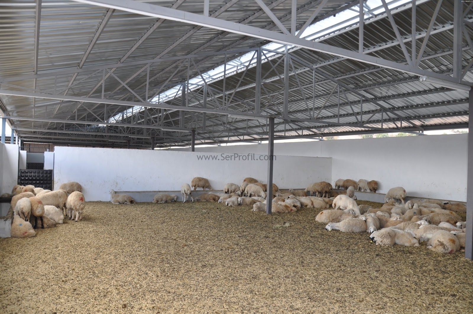 Prefabrik Koyun Keçi Ağıl Projeleri Yapım Fiyatları