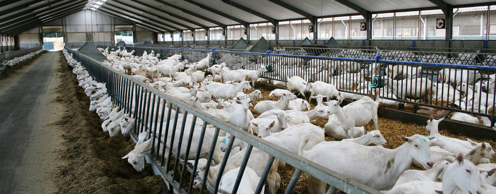 Prefabrik Ahır Maliyeti, Prefabrik ÇELİK Ahır Metrekare Fiyatları 2026