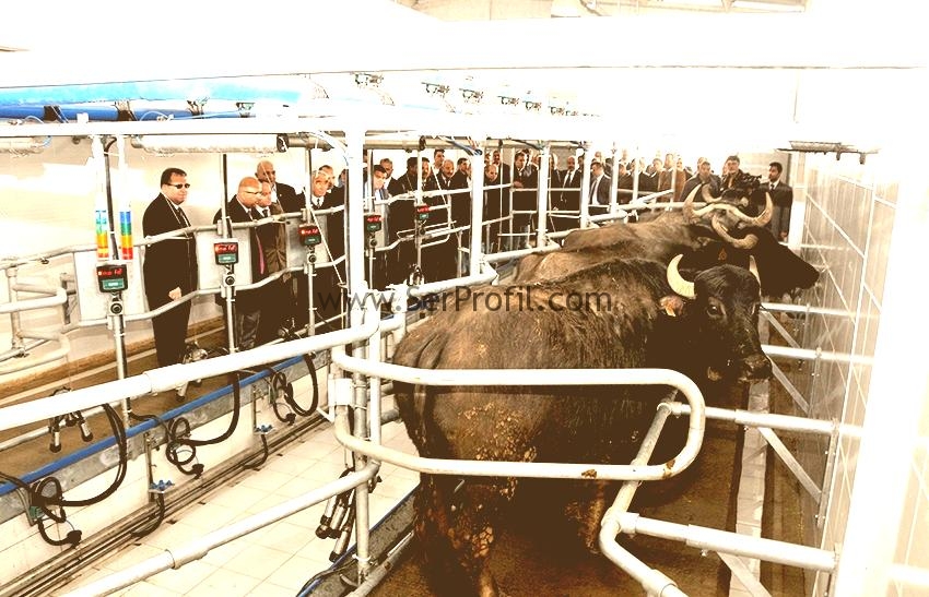 Sıfırdan Ekonomik Prefabrik Ahır Projeleri Yapım Fiyatları