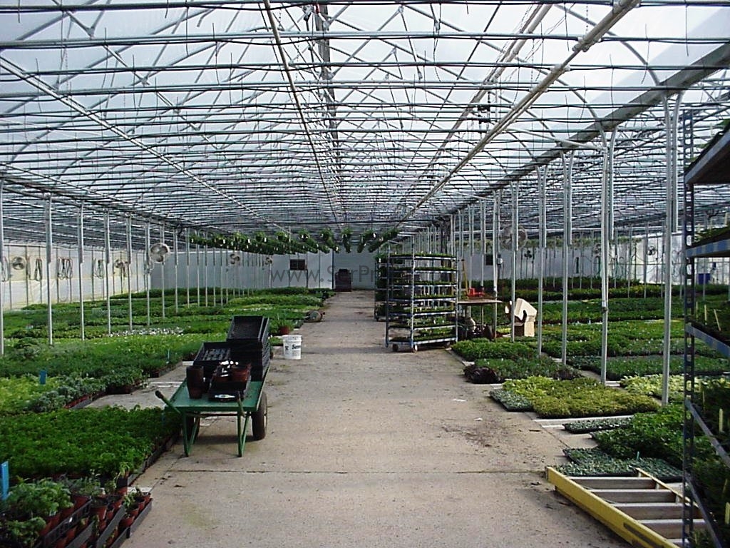 50 M2 Sera Maliyeti