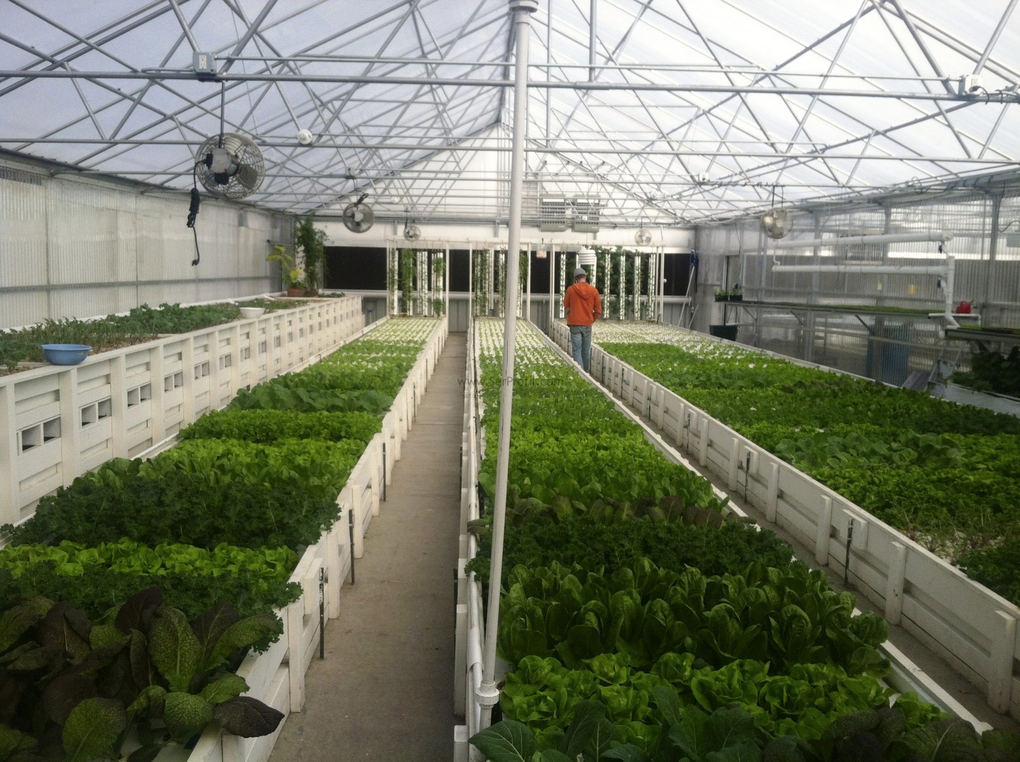 Muz Serası, Sera Kurulumu Fiyatları‎ 2026