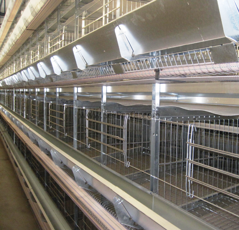 Etlik Broiler Tavuk Çiftliği Kümes Projeleri Full Anahtar Teslim Maliyeti