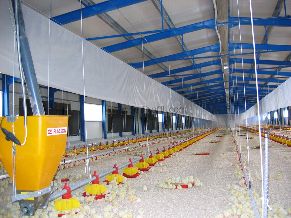 Prefabrik ve HAFİF ÇELİK Anahtar Teslim Tavuk Kümes Maliyeti m2 Fiyatları