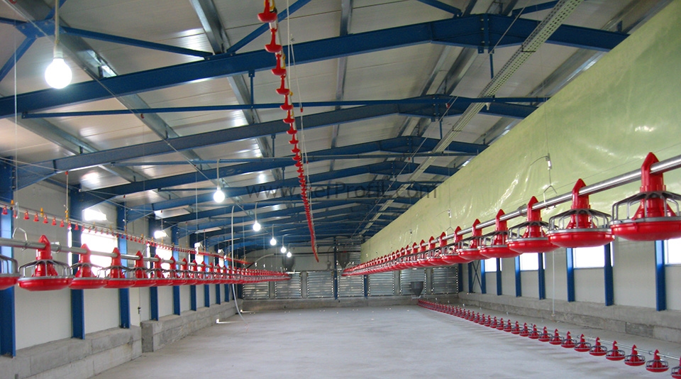 Prefabrik Tavuk Kümes Modelleri ve Fiyatları 2026