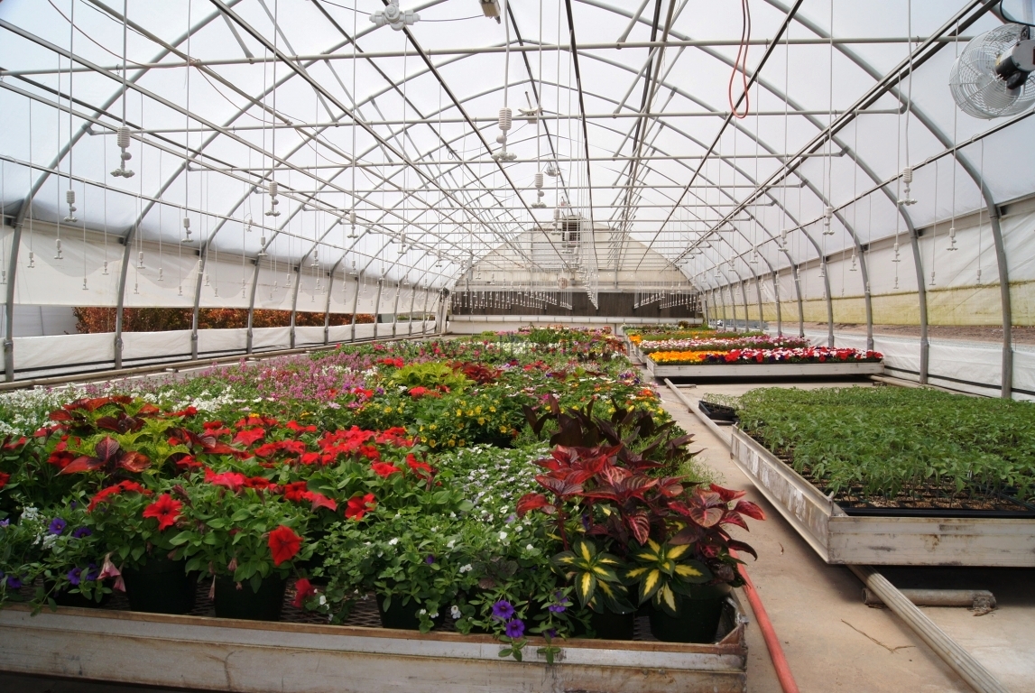 Sera İskeleti Fiyatları, Tünel Sera Demirleri, Modern Sera Yapımı