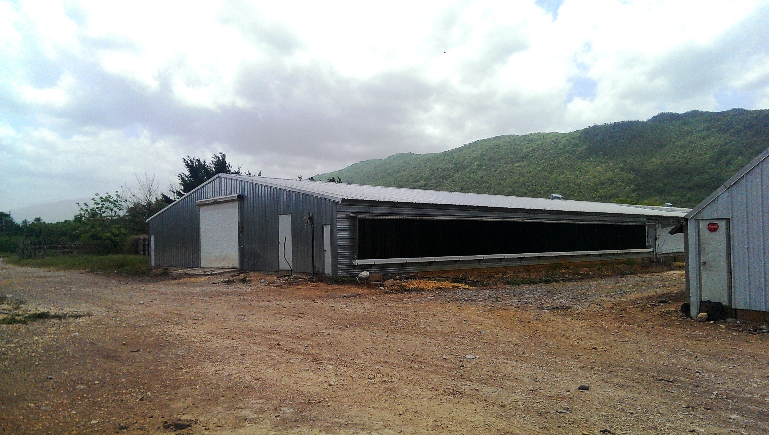 Salma Tavukçuluk Broiler Yumurta Kümesi Prefabrik ÇELİK Tavuk Çiftliği Maliyeti