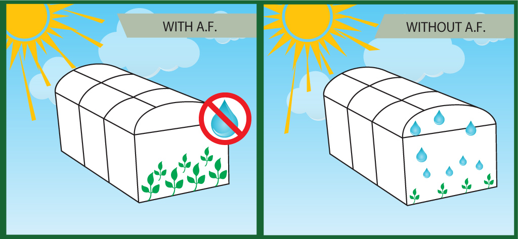 Anti Fog