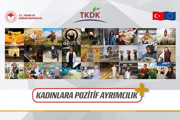 TKDK Ipard Kadınlara Pozitif Ayrımcılık